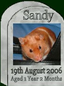 [Sandy ]